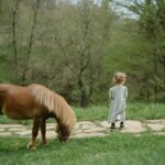 Comment s'appelle le petit du cheval ? Tout savoir sur le poulain et son univers