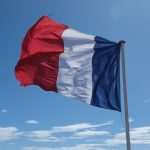 Chien Français tricolore : caractère, santé et conseils vétérinaires